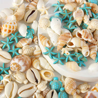 Natural Shell Charms Set for DIY Jewelry Making - 65 Piece