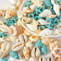 Natural Shell Charms Set for DIY Jewelry Making - 65 Piece