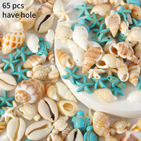 Natural Shell Charms Set for DIY Jewelry Making - 65 Piece