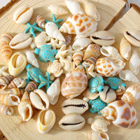 Natural Shell Charms Set for DIY Jewelry Making - 65 Piece