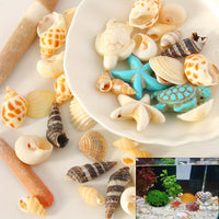 Natural Shell Charms Set for DIY Jewelry Making - 65 Piece