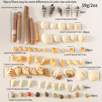 Natural Shell Charms Set for DIY Jewelry Making - 65 Piece