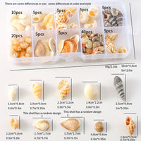 Natural Shell Charms Set for DIY Jewelry Making - 65 Piece
