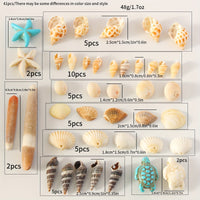 Natural Shell Charms Set for DIY Jewelry Making - 65 Piece