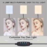 LED Video Light Kit - Dimmable with Tripod Stand & Phone Holder