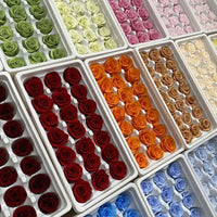 Grade B 21PCS 2-3cm Mini Preserved Roses Heads Eternal Rose Gift Wedding Party DIY Material Preserved Roses Home Dried Flowers