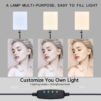 LED Video Lights Conference Photography Lighting Selfie Light Photo Studio Lamp With Tripod for Shoot Live Streaming TikTok Zoom