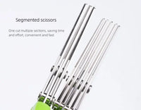 Multi Functional Stainless Steel 3 5 Layer Kitchen Scissors for Pepper Scallion Laver Cutting Chopping Cooking Tool