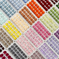 Grade B 21PCS 2-3cm Mini Preserved Roses Heads Eternal Rose Gift Wedding Party DIY Material Preserved Roses Home Dried Flowers