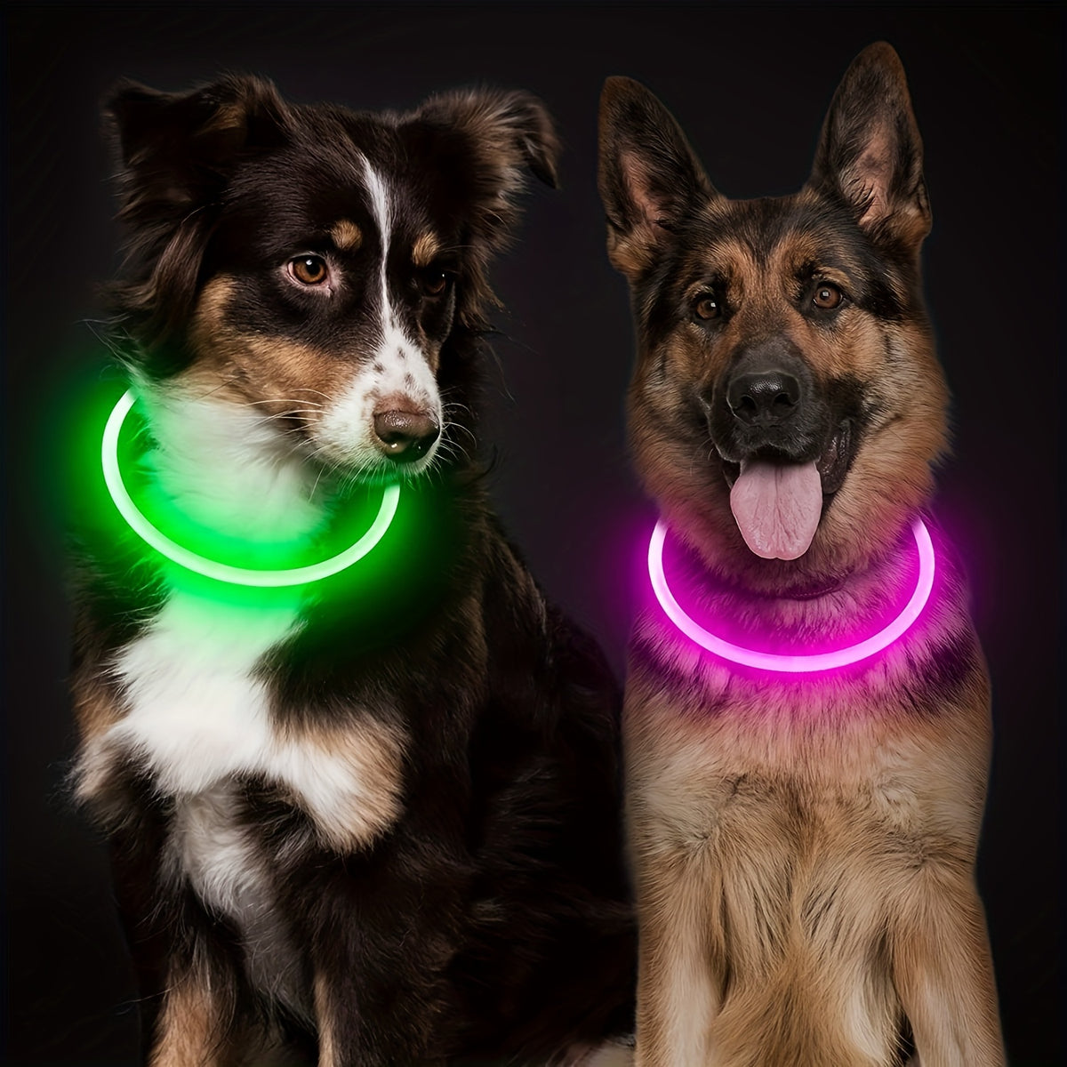 Dog LED Light Collar Whole Luminous At Night Anti-loss USB Rechargeable