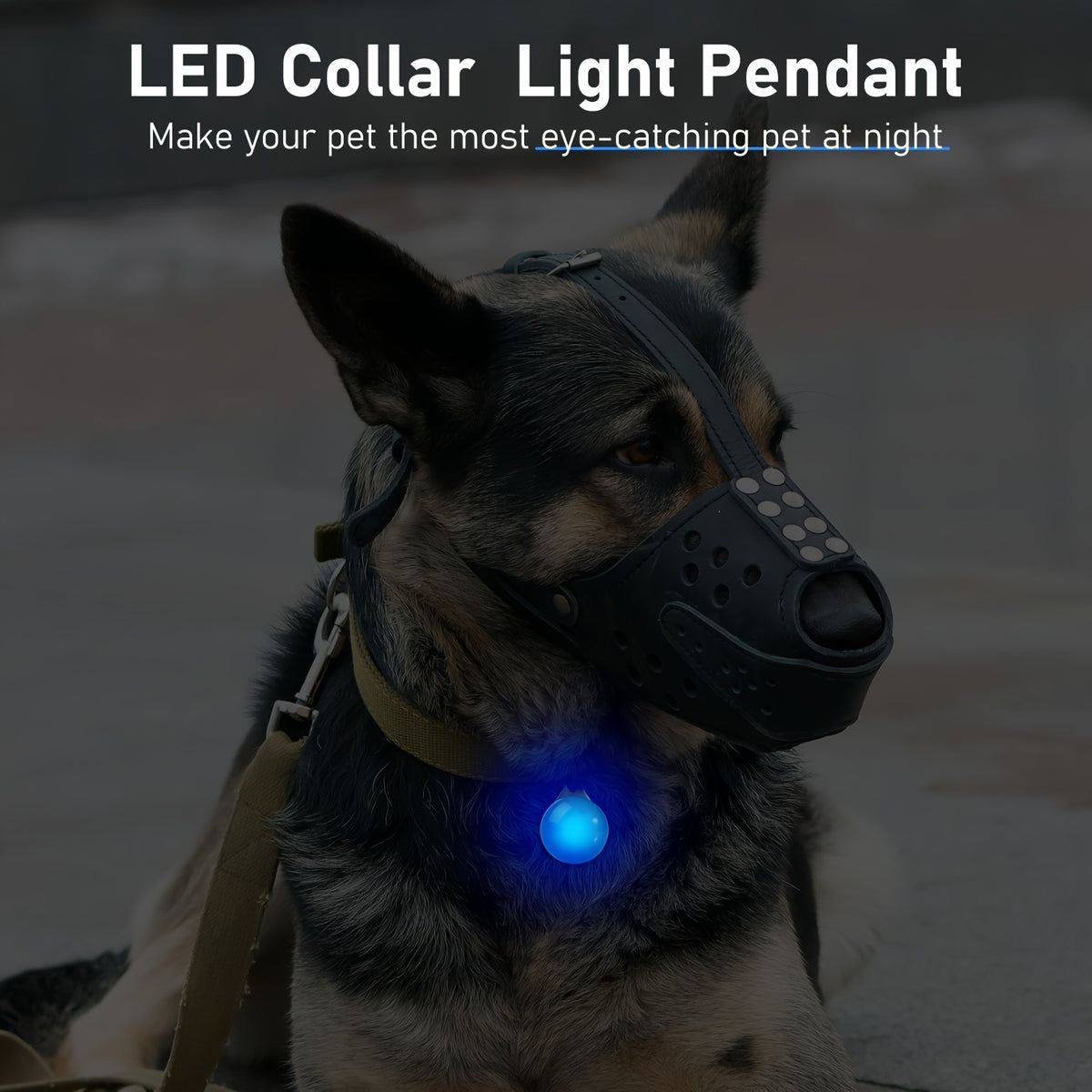 Bright LED Collar Light Pendant with Carabiner Clip-Setting Insulating Sheet