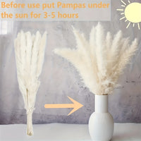 Luxurious Artificial Pampas Grass Bouquet - 65pcs