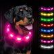 Joytale LED Pet Collar, USB Rechargeable Glowing Lighted Up