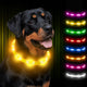 Joytale LED Pet Collar, USB Rechargeable Glowing Lighted Up