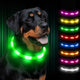 Joytale LED Pet Collar, USB Rechargeable Glowing Lighted Up