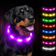 Joytale LED Pet Collar, USB Rechargeable Glowing Lighted Up