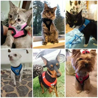 Dog Harnesses Leash, Mesh Cloth Pet Collars