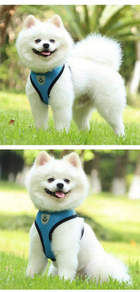 Dog Harnesses Leash, Mesh Cloth Pet Collars