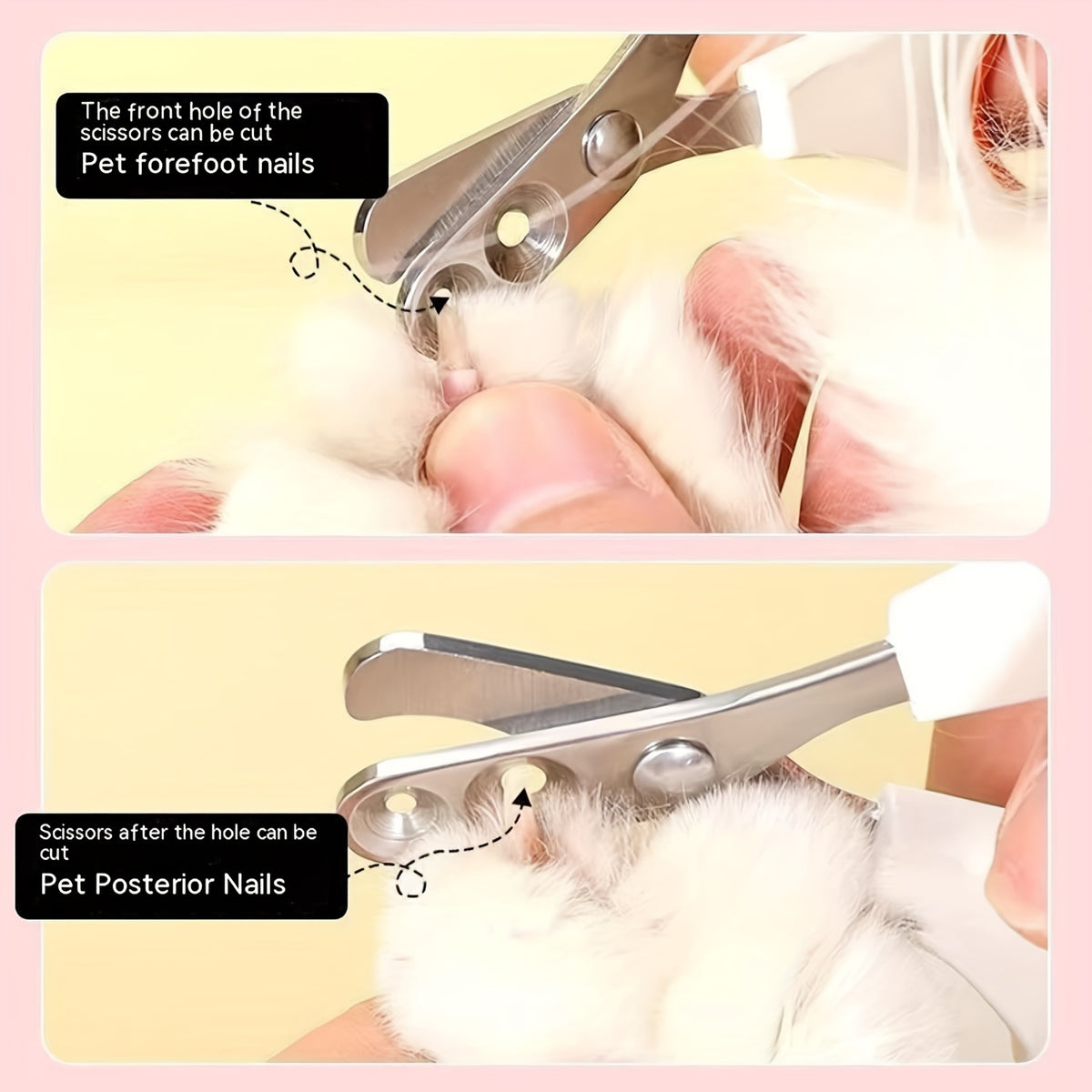 Stainless Steel Pet Nail Clippers for Cats