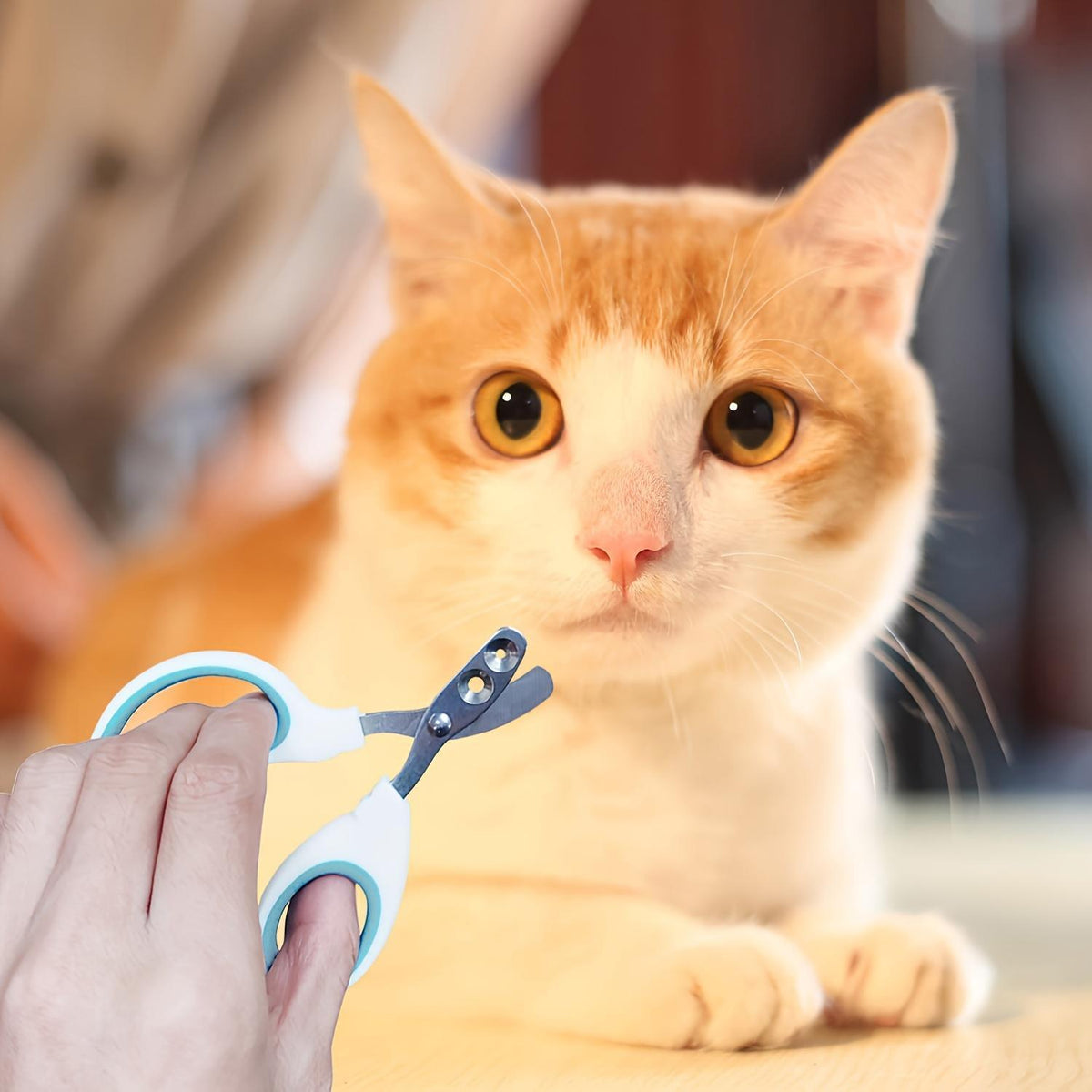 Stainless Steel Pet Nail Clippers for Cats