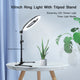 LED Ring Light with Tripod Stand - USB Powered - 26.01cm