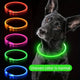 Dog LED Light Collar Whole Luminous At Night Anti-loss USB Rechargeable