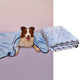 Pet Blanket for Dogs & Cats – 1 Pack Ultra-Soft Comfort Warmth Blanket