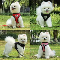 Dog Harnesses Leash, Mesh Cloth Pet Collars