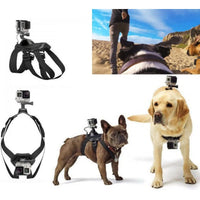 Multifunctional Pet Photography Harness - Adjustable for Small, Medium, and Large Dogs