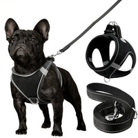 Joytale Reflective Dog Harness and Leash Set