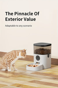 Automatic Feeder for Medium to Large Dogs - 6L