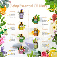 PHATOIL 15pcs Essential Oil Set, Mood Lifting Aromatic Oils, Multipurpose Liquid Format, Under 1L Capacity, No Effect - Single Blend Varieties