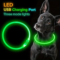 Dog LED Light Collar Whole Luminous At Night Anti-loss USB Rechargeable