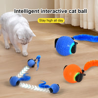 Novel Interactive Electric Cat And Dog Toy Ball