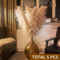 Pampas Grass Decor, Bohemian Style, Fluffy Feather Accents, Dry Flower - 5pcs 101.6cm Tall