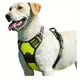 Dog Harness - No Pull Service Vest With Reflective Strips And Control Handle