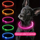 Dog LED Light Collar Whole Luminous At Night Anti-loss USB Rechargeable