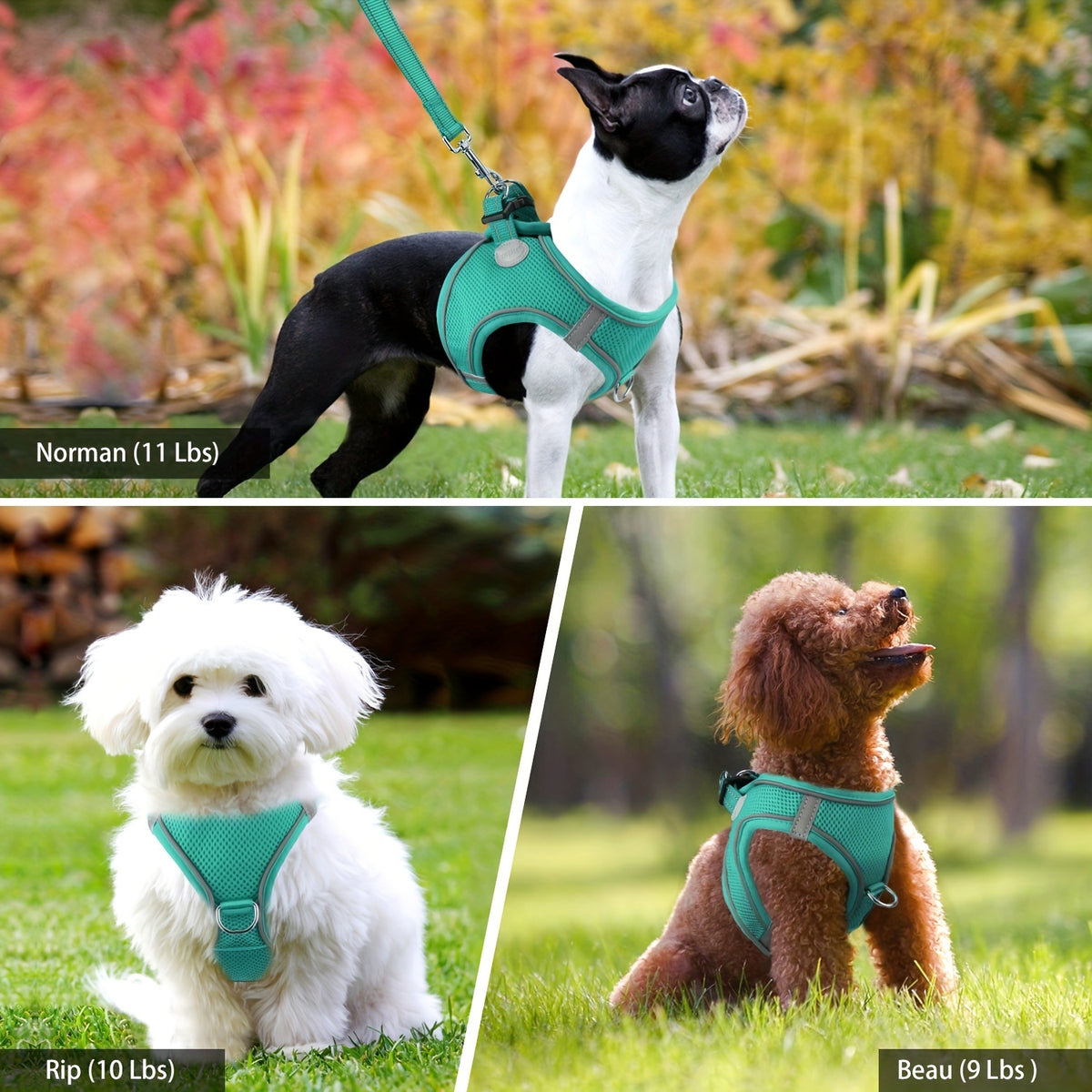 Joytale Reflective Dog Harness and Leash Set