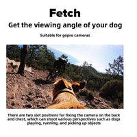 Multifunctional Pet Photography Harness - Adjustable for Small, Medium, and Large Dogs
