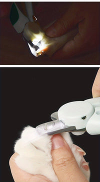 Pet Nail Clipper With LED Light For Dogs And Cats, Pet Grooming Tool