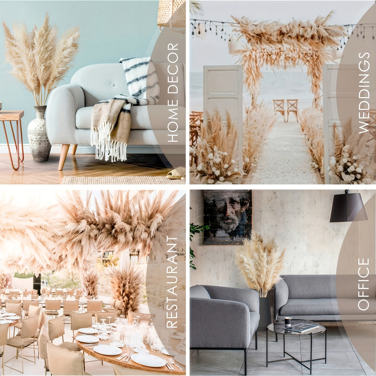 Pampas Grass Decor, Bohemian Style, Fluffy Feather Accents, Dry Flower - 5pcs 101.6cm Tall