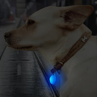 Bright LED Collar Light Pendant with Carabiner Clip-Setting Insulating Sheet