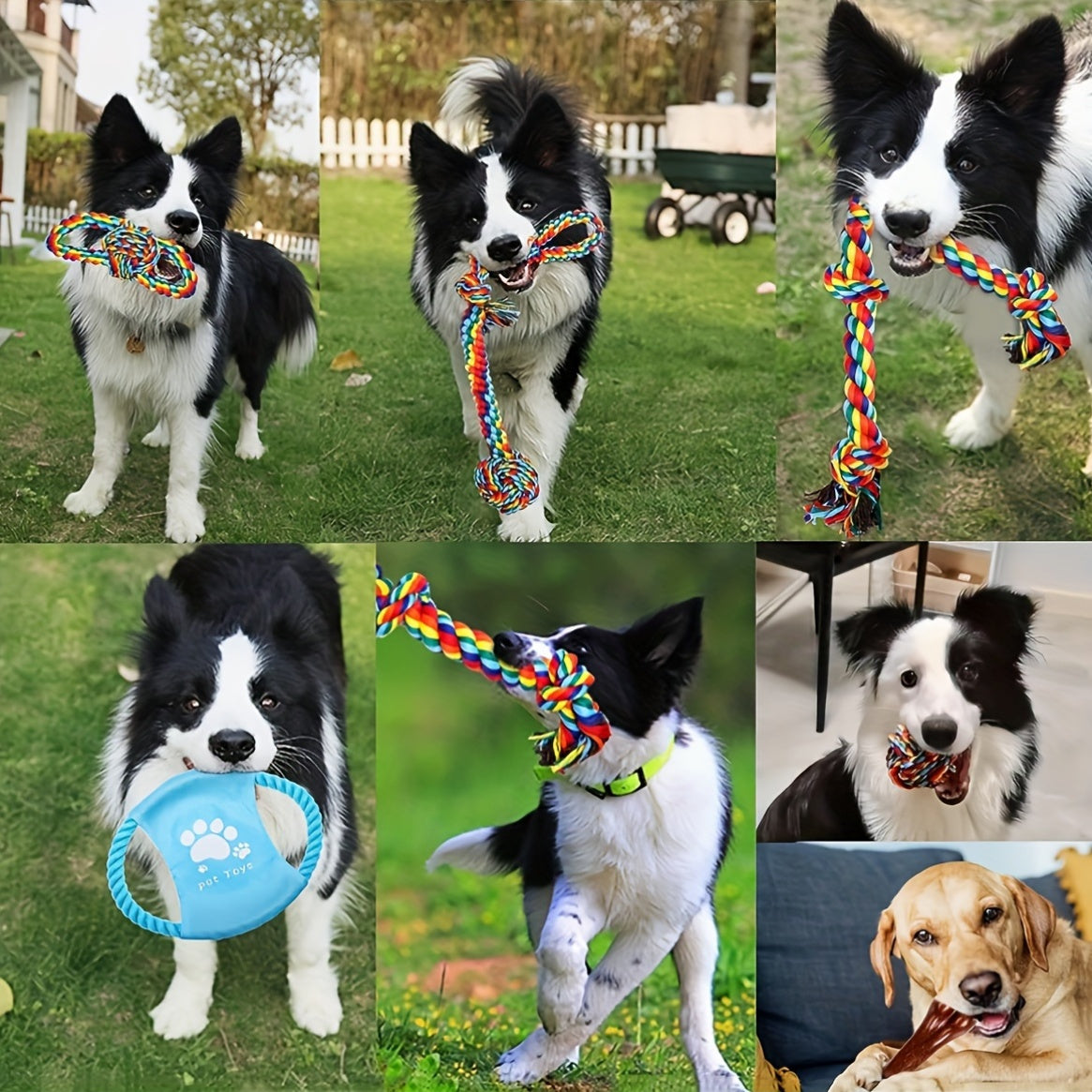 Durable Cotton Blend Dog Rope Toys Set - Tough Chew Toys for Teething - 6-Pack