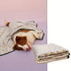 Pet Blanket for Dogs & Cats – 1 Pack Ultra-Soft Comfort Warmth Blanket