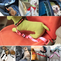 Pet Seat Belt For Dog & Cat, Retractable Dog Seatbelt