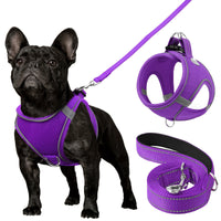 Joytale Reflective Dog Harness and Leash Set