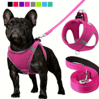 Joytale Reflective Dog Harness and Leash Set