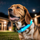 Glowing LED Pet Collar, Battery Powered, Polyester Reflective Dog Walking Necklace