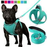 Joytale Reflective Dog Harness and Leash Set