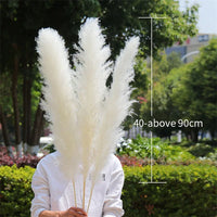 Wholesale 12Pcs Fluffy Large Pampas Grass Home Decor Natural Dried Flower Decorative Wedding Centerpiece Boho Pampas Grass Decor